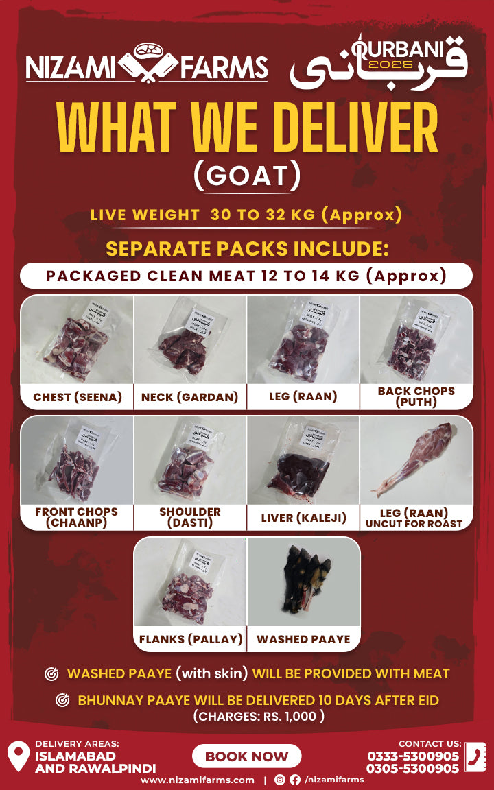 Qurbani 2025 - Goat (Bakra)