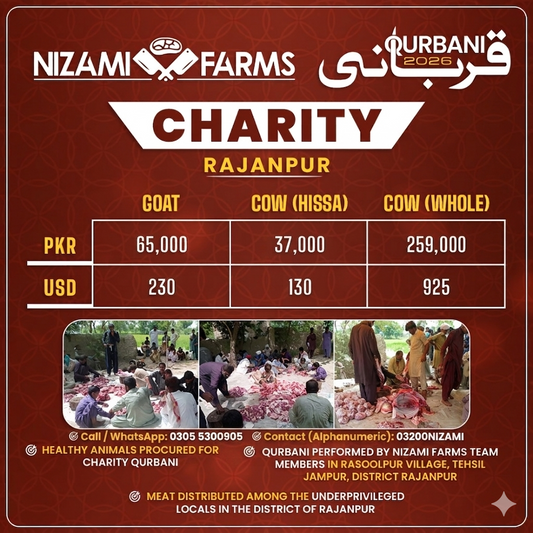 Qurbani for Charity in Rajanpur
