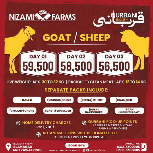 Qurbani 2024 - Goat (Bakra)