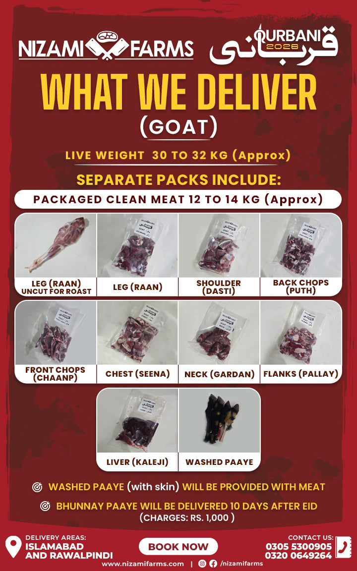 Qurbani 2026 - Goat (Bakra)