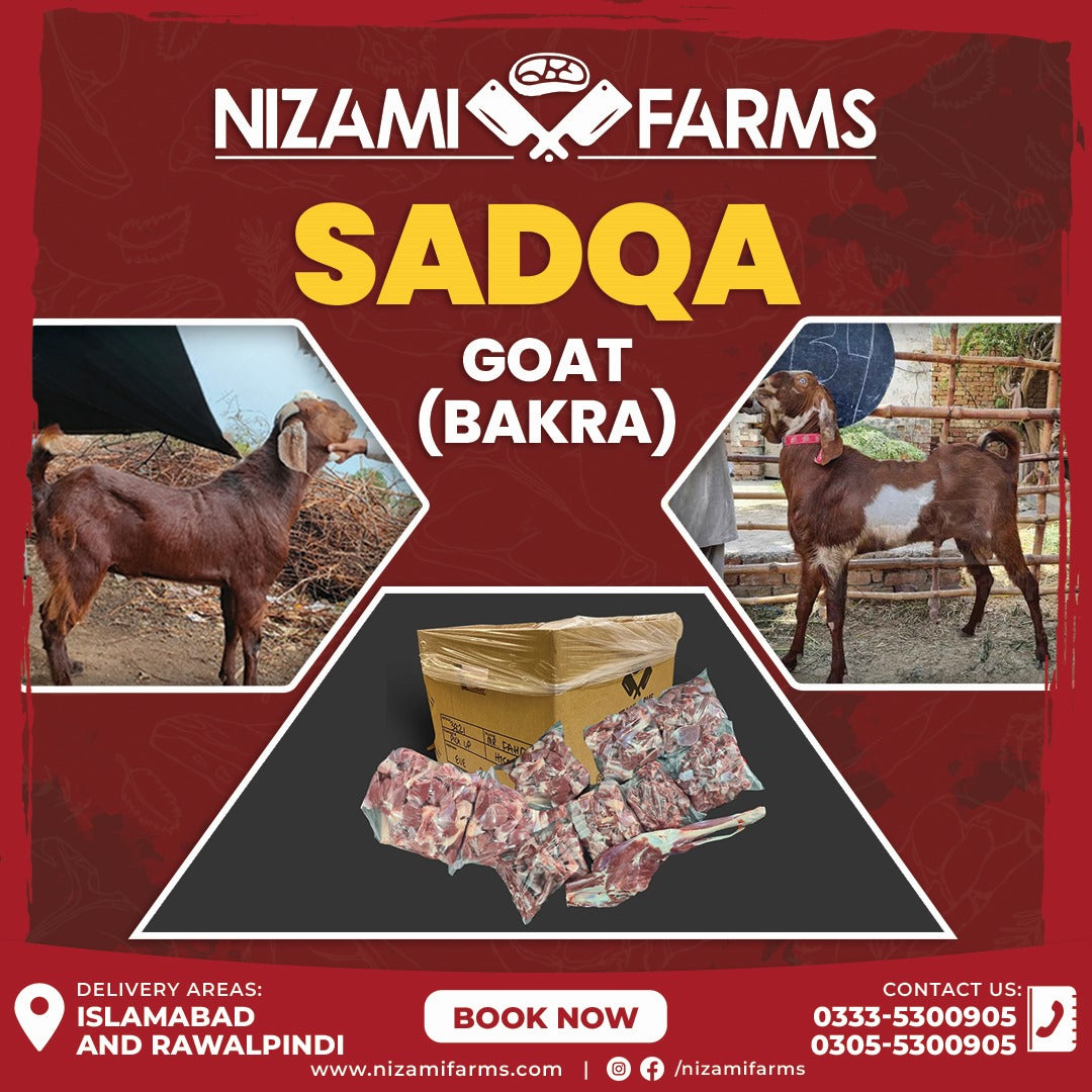 Sadqa Goat (Bakra)