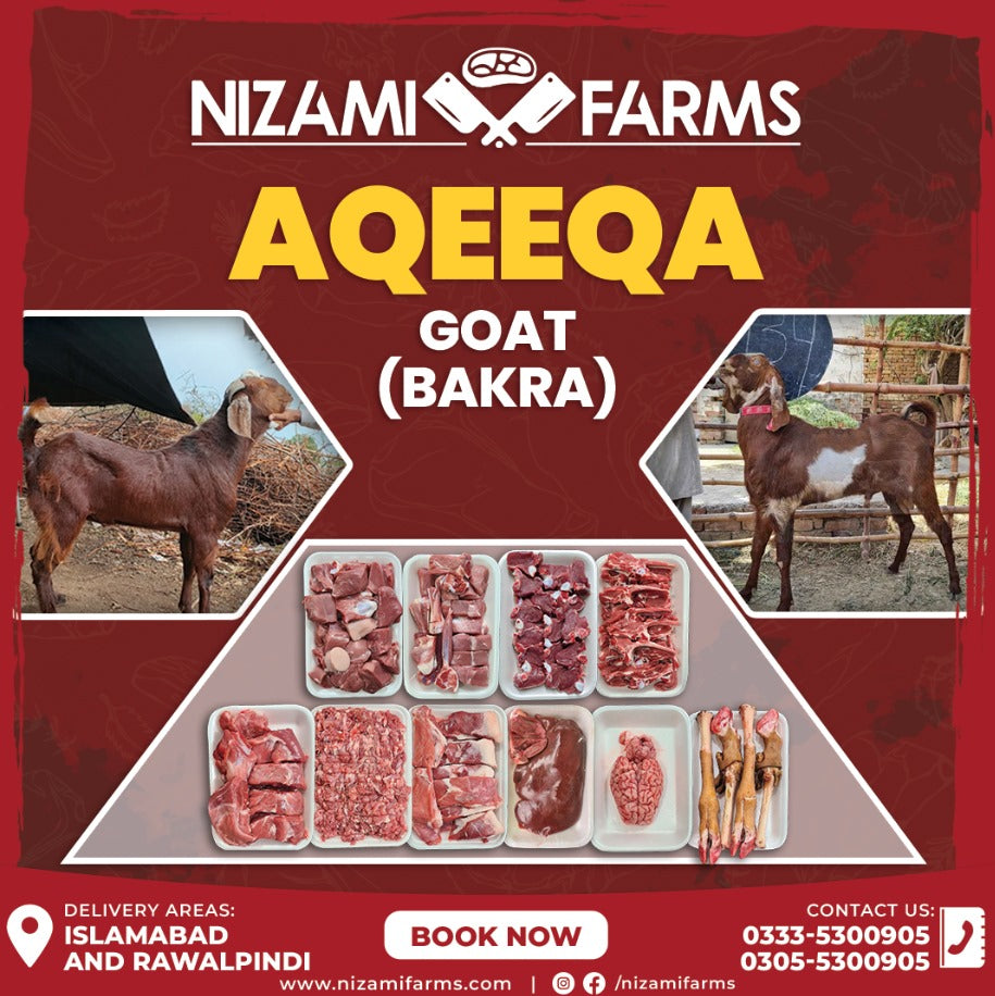 Aqeeqa Goat (Bakra)