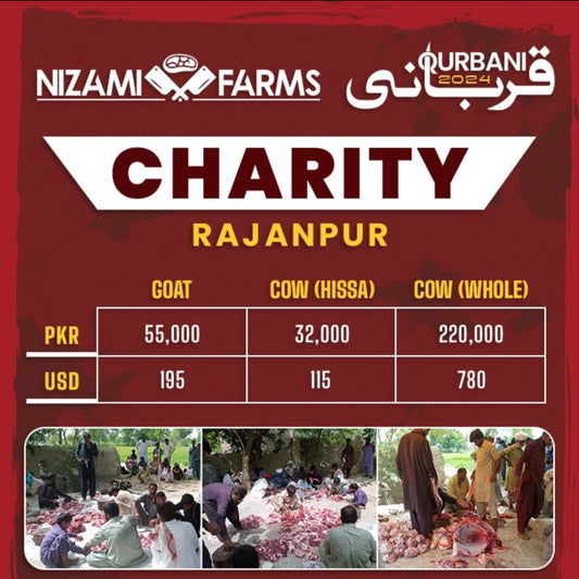 Qurbani for Charity in Rajanpur